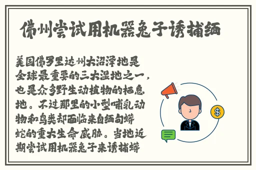 四虎2019最新免费观看